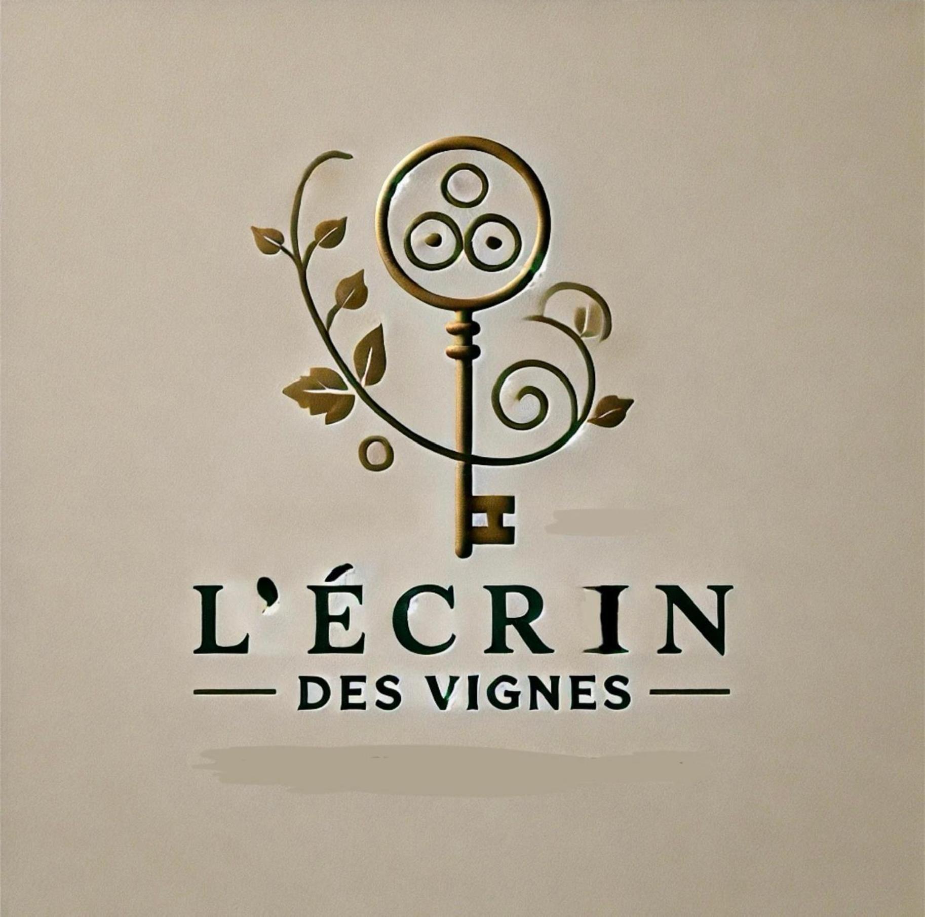 Appartement L'ecrin Des Vignes - De Charme En Hyper-centre
